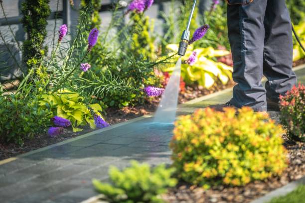 Best Animal Enclosure Cleaning  in Caldwell, TX