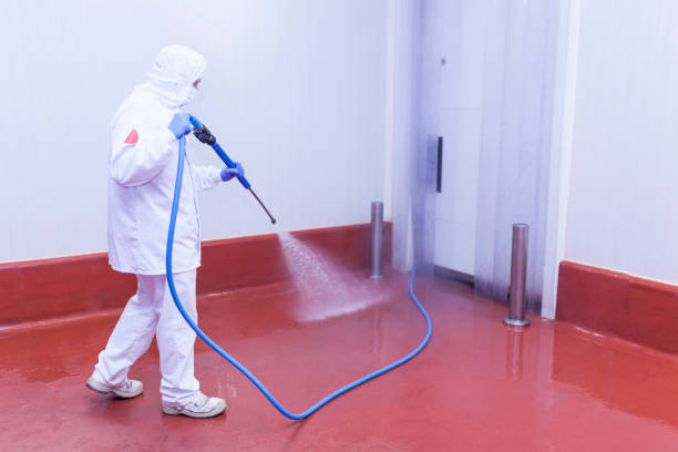 Best Residential Exterior Washing  in Caldwell, TX